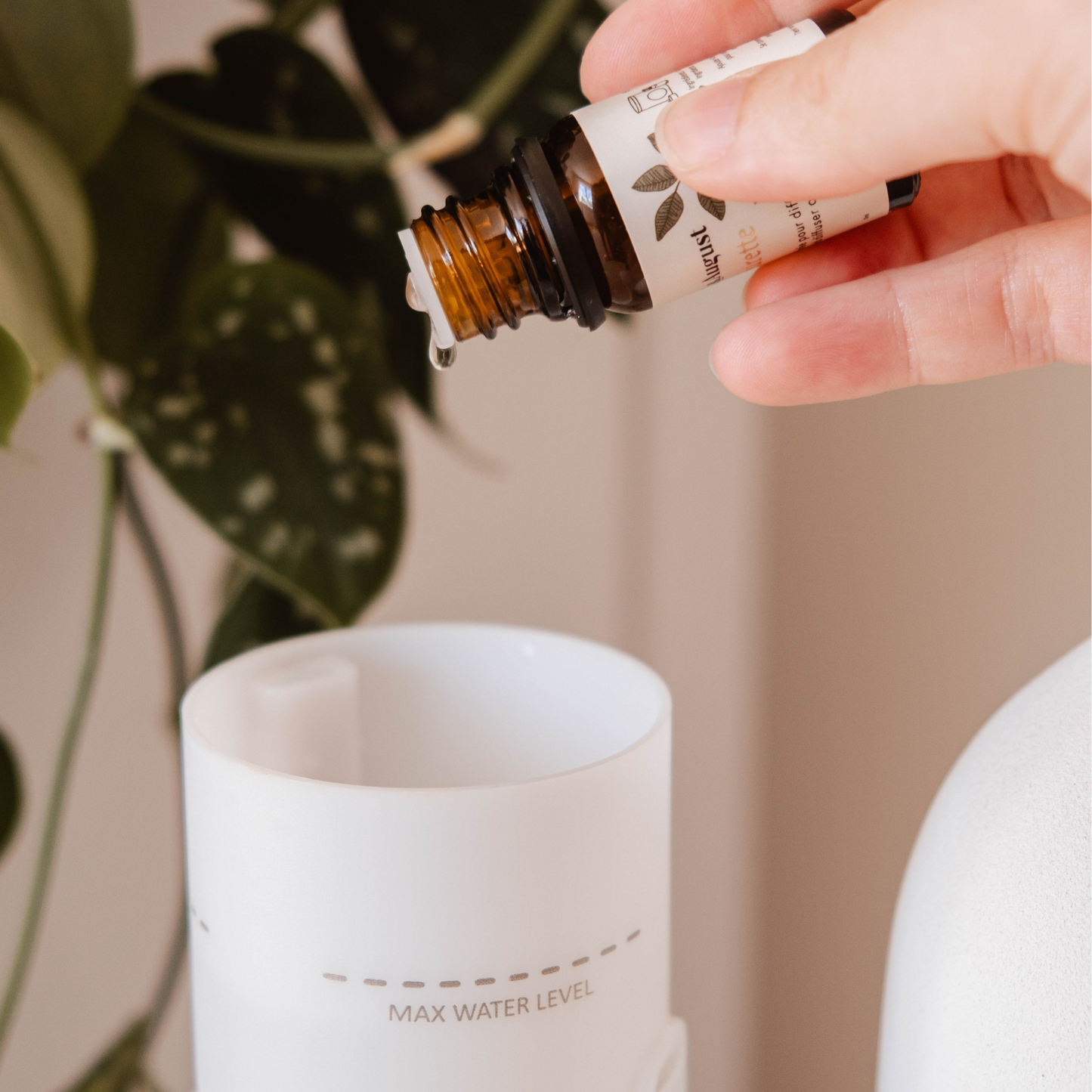 FLEURETTE fleurs et bergamote