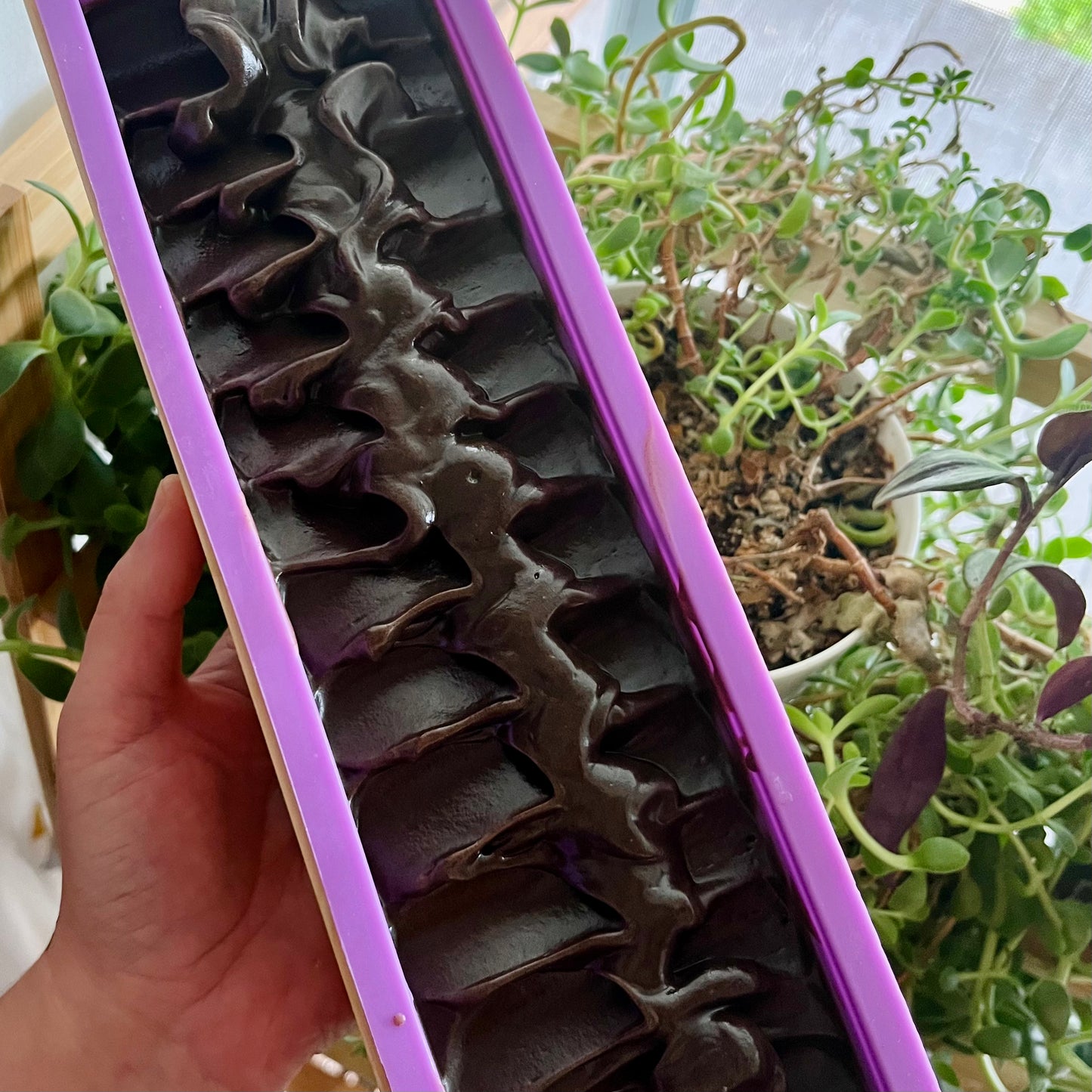 Une main tient une boîte de Savon doux  MICAELA beurre de cacao et chocolat, composée de barres de chocolat noir ondulées confectionnées avec un riche beurre de cacao et disposées sur deux rangées. La boîte a une bordure violette et porte la marque La Sultana Savonnerie | Savons et soins naturels faits main | Québec. En arrière-plan, des plantes vertes luxuriantes et une surface en bois sont partiellement visibles.