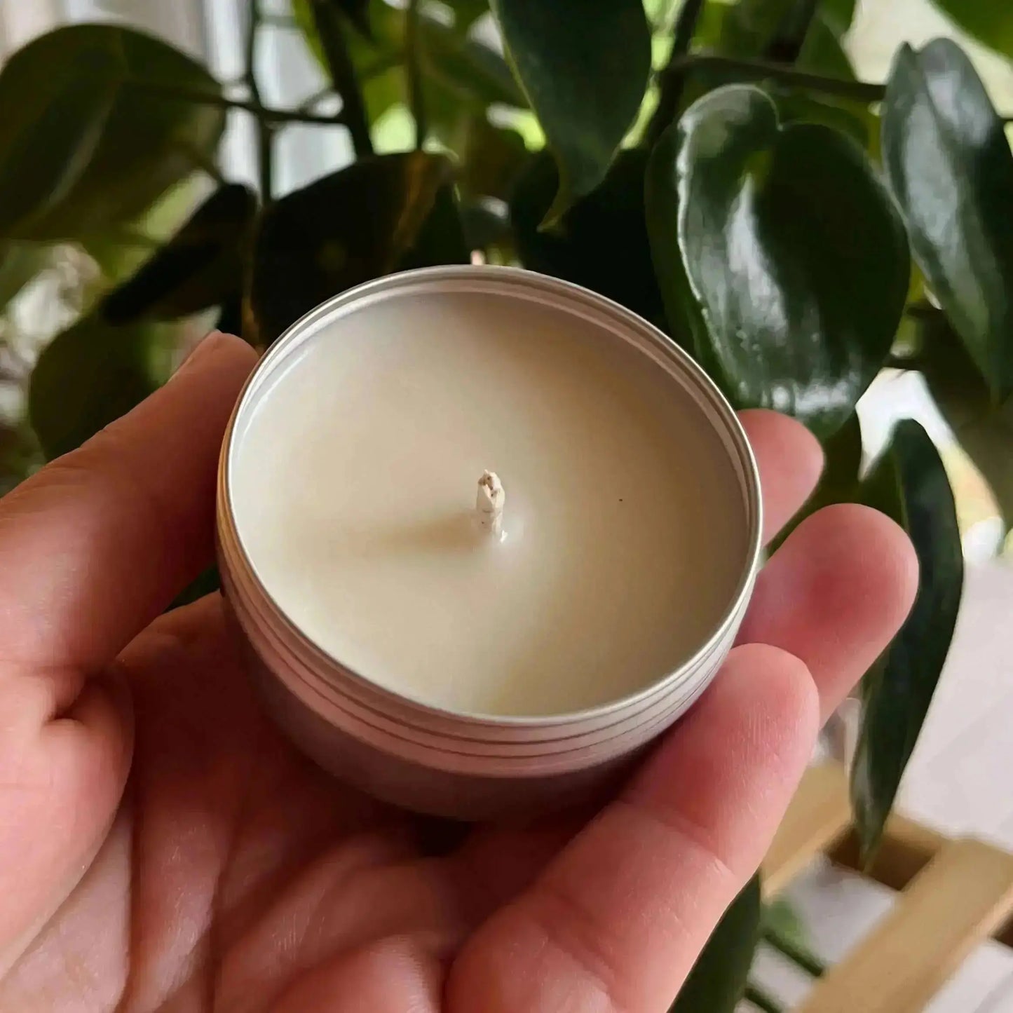Une personne tient dans ses mains une Bougie de soja VASILISA citrouille caramel de La Sultana Savonnerie | Savons et soins naturels faits main | Québec, logée dans un contenant métallique rond. La mèche centrale de la bougie reste éteinte. La scène sereine est complétée par la présence d'une plante d'intérieur verte aux larges feuilles en arrière-plan.
