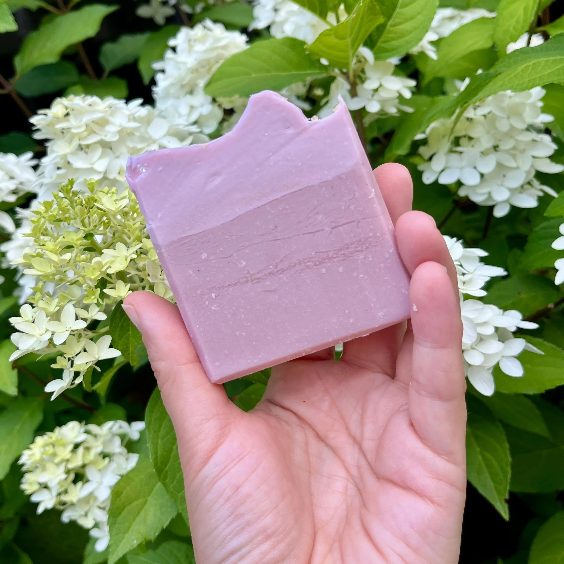 Savon à l'argile rose MAYBEL limonade et pastèque La Sultana Savonnerie | Savons et soins naturels faits main | Québec