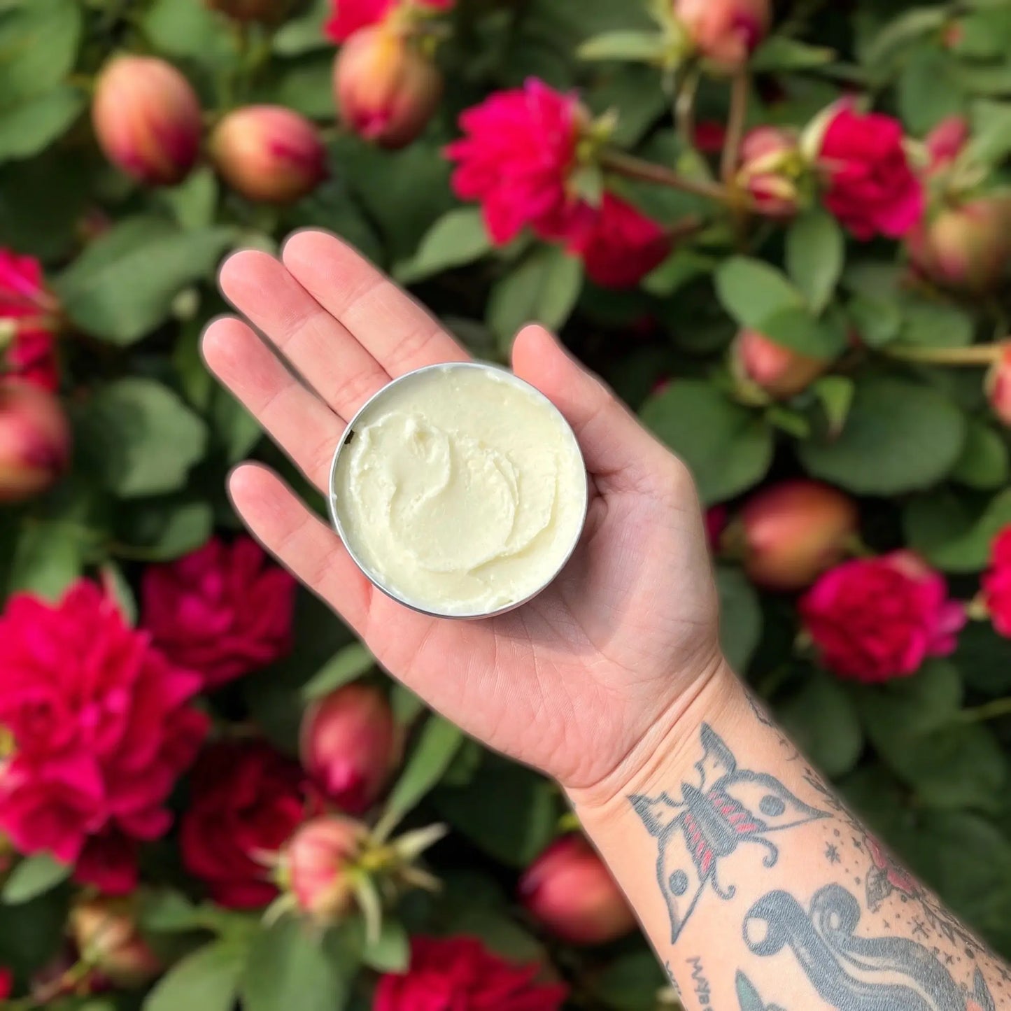 Une main tatouée tient un petit contenant de Baume à tatouage JAMIE vitamine E & rose musquée de La Sultana Savonnerie | Savons et soins naturels faits main | Québec, sur fond de roses rouges et roses vibrantes en pleine floraison. La crème semble lisse et légère, contrastant avec les motifs détaillés du bras et la verdure luxuriante qui entoure les fleurs.