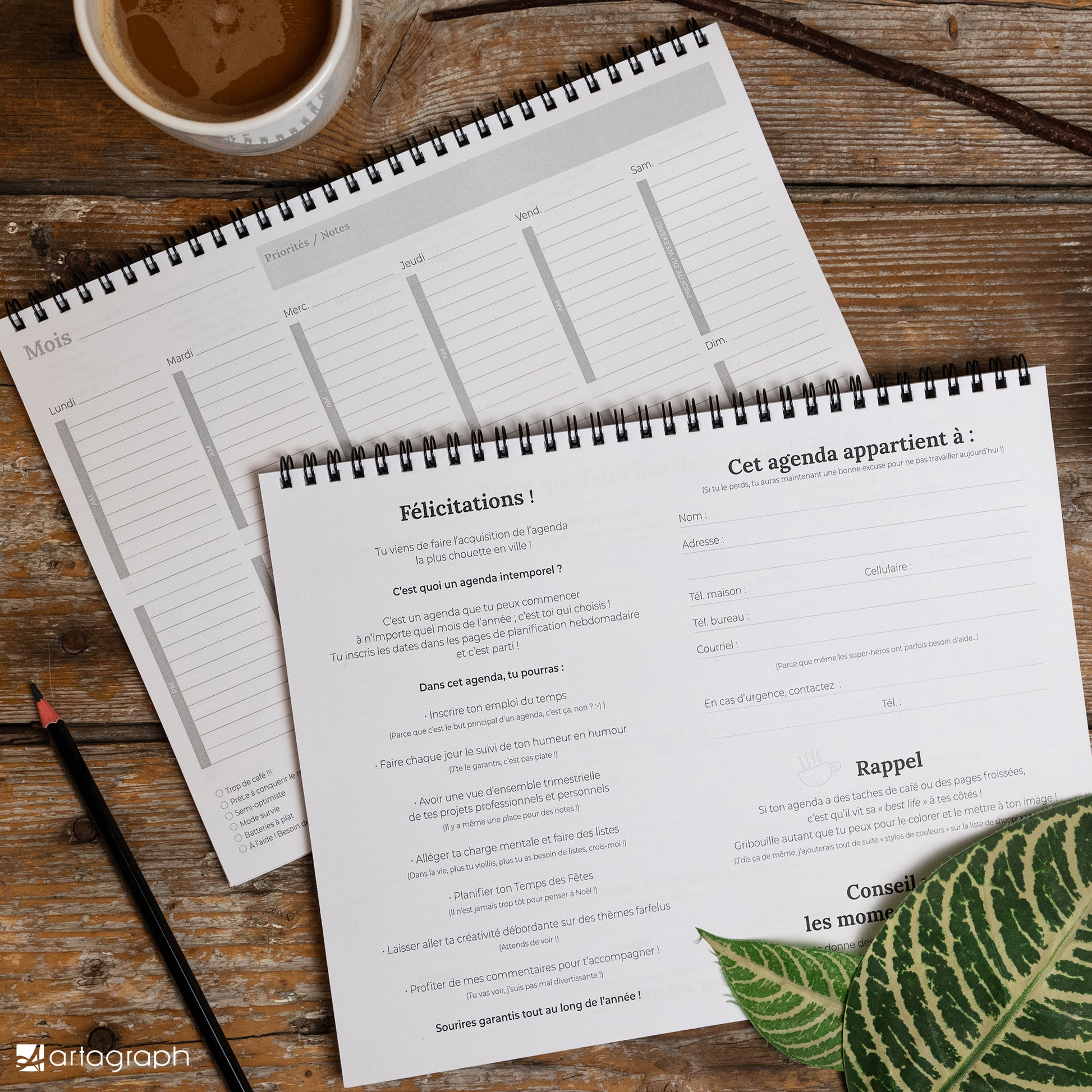 Deux agendas à reliure spirale sont ouverts sur une table en bois. L'Agenda intemporel RATON-LAVEUR de La Sultana Savonnerie présente un planning hebdomadaire avec les jours en français, tandis que l'autre affiche un texte intitulé "Félicitations !" en français. Une petite tasse de café est posée à proximité, et une feuille de plante verte est partiellement visible, mettant en valeur la finition luxueuse.