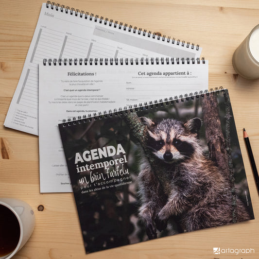 Un Agenda intemporel RATON-LAVEUR de La Sultana Savonnerie, avec son motif unique de raton laveur sur la couverture, est posé ouvert sur une table en bois. En arrière-plan, deux autres pages ouvertes d'un agenda non daté. À proximité, un stylo et une tasse de café rehaussent la finition élégante de cet agenda créatif.