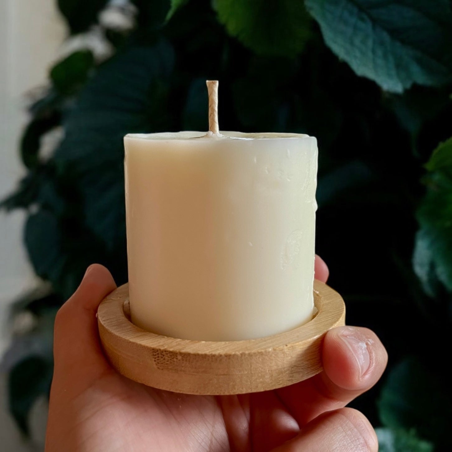 Une main tient une Bougie de soja ADÈLE brioche à la cannelle blanche non allumée de La Sultana Savonnerie, posée sur un petit socle rond en bois. Fabriquée à partir de cire de soja naturelle, la bougie comporte une seule mèche au sommet. L'arrière-plan est flouté par un feuillage vert foncé.