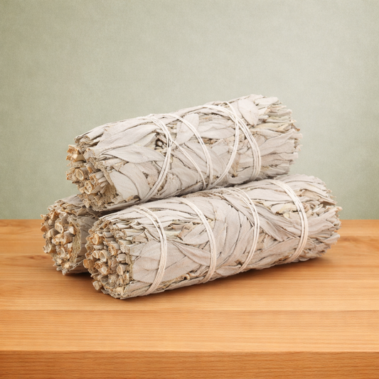 Bâton de sauge blanche de Californie