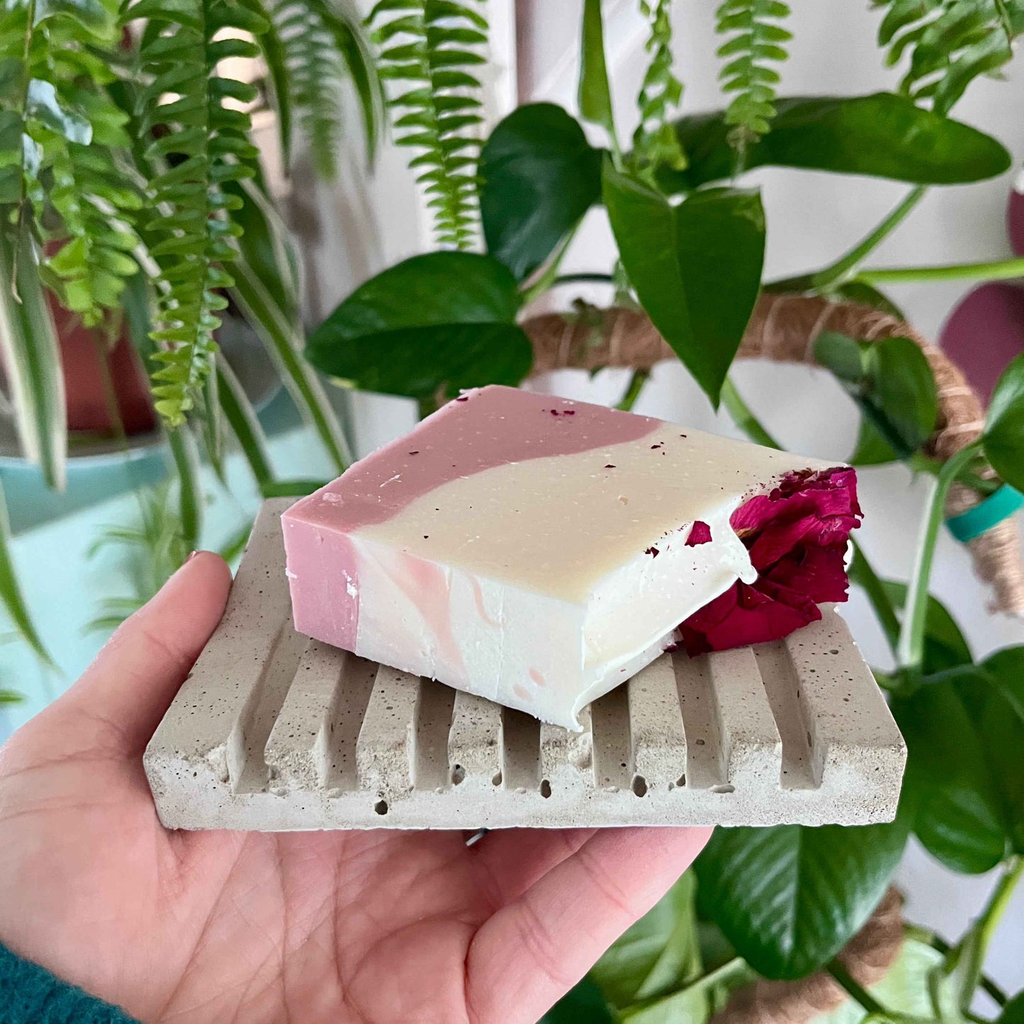 Porte-savon et savon