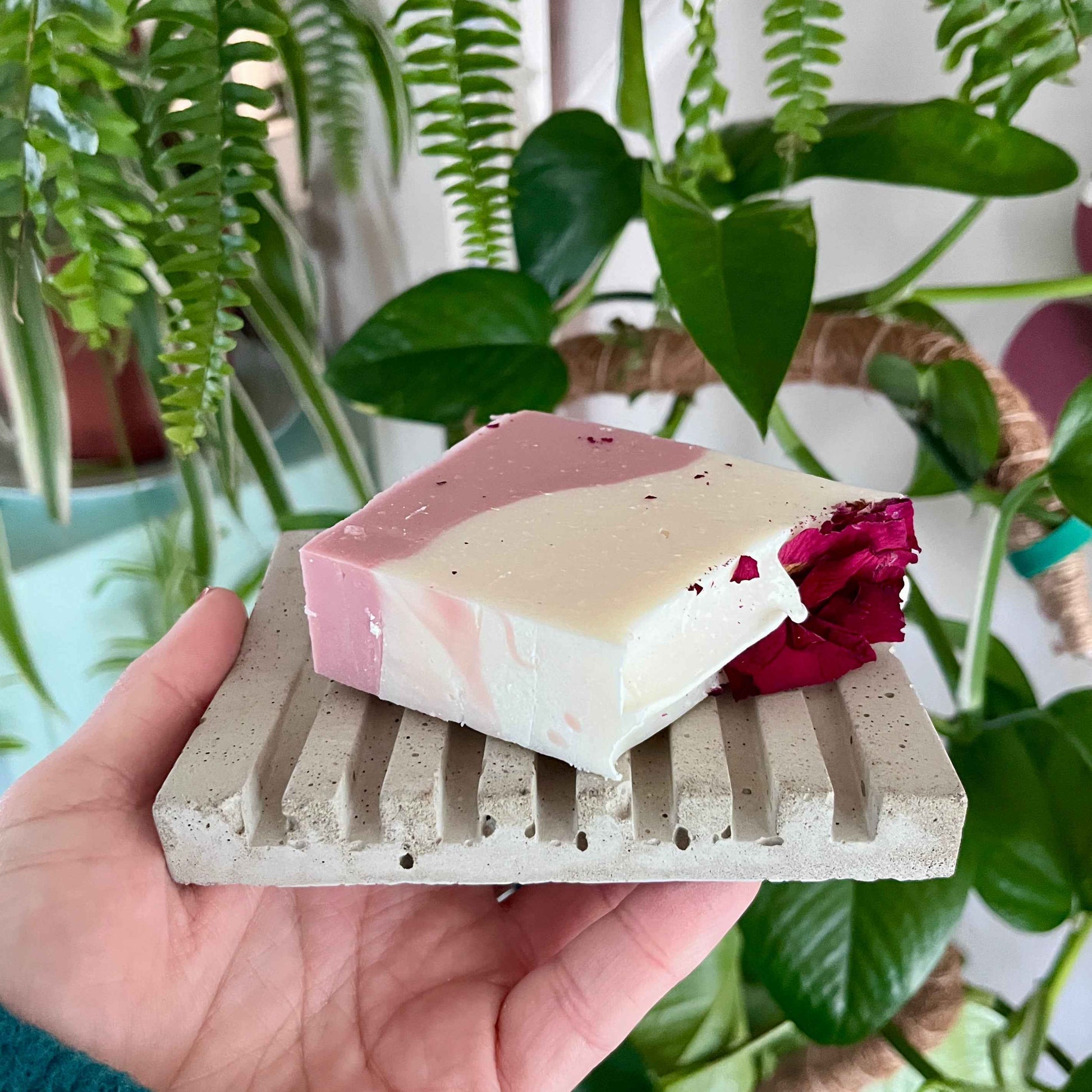Porte-savon et savon