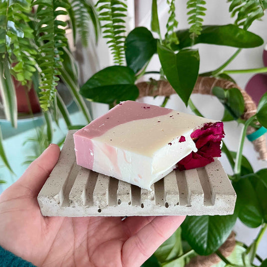 Porte-savon et savon