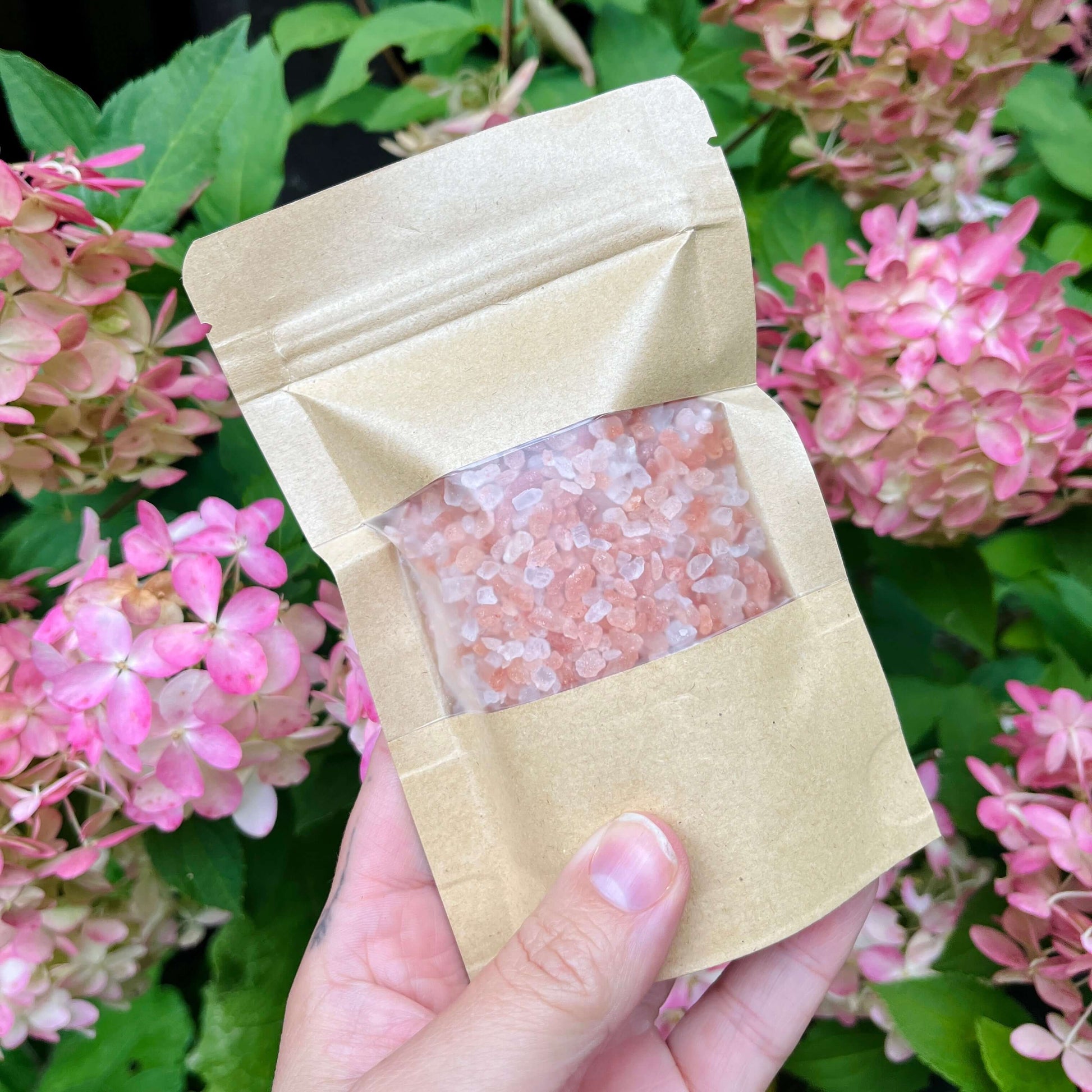 Une main tient une pochette en papier brun avec une fenêtre transparente affichant du Sel rose d'Himalaya (gros grains) rosé de La Sultana Savonnerie | Savons et soins naturels faits main | Québec. Derrière la pochette se trouvent des fleurs d'hortensia roses en fleurs et un feuillage vert, mettant en valeur sa beauté naturelle et ses qualités détoxifiantes potentielles.