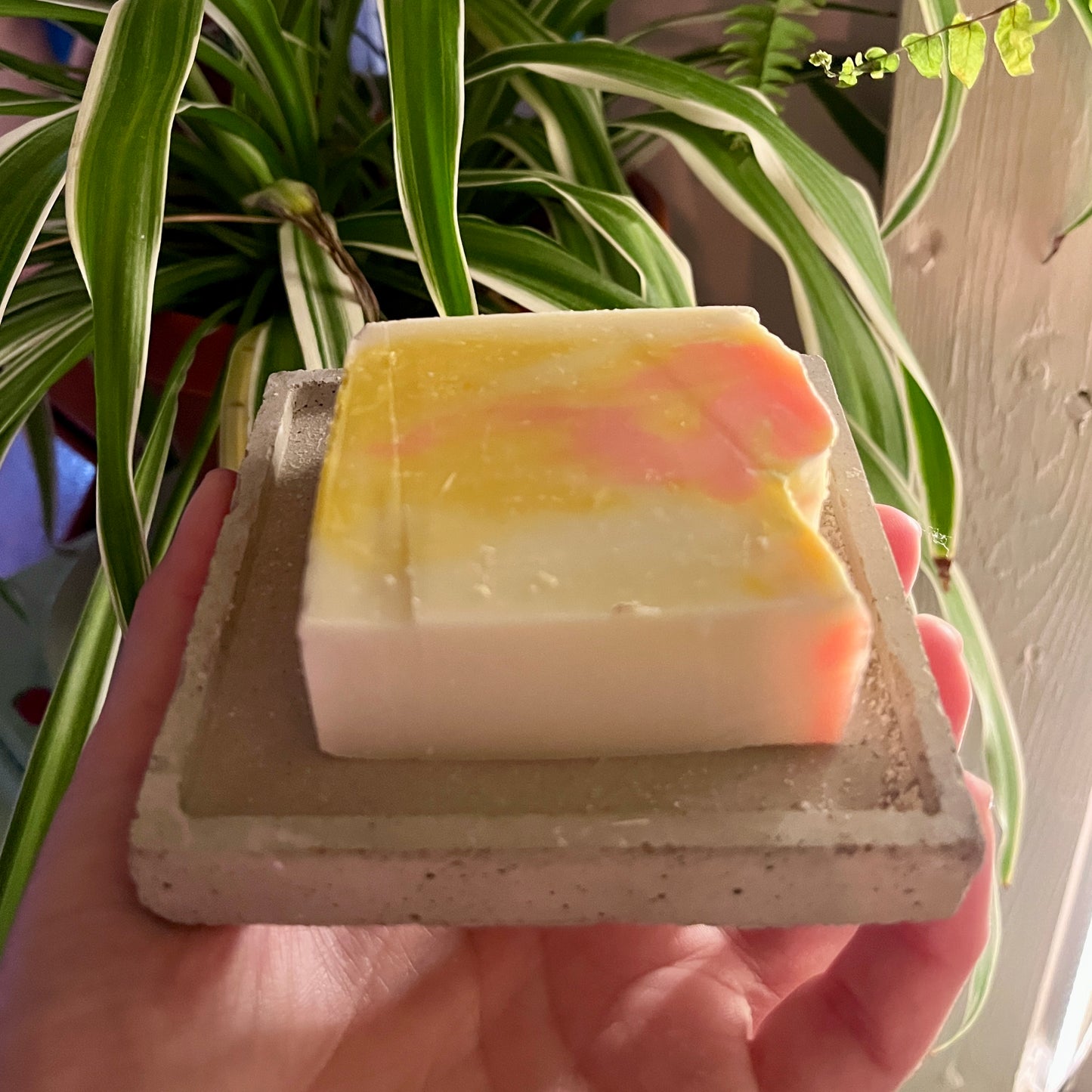 Porte-savon et savon