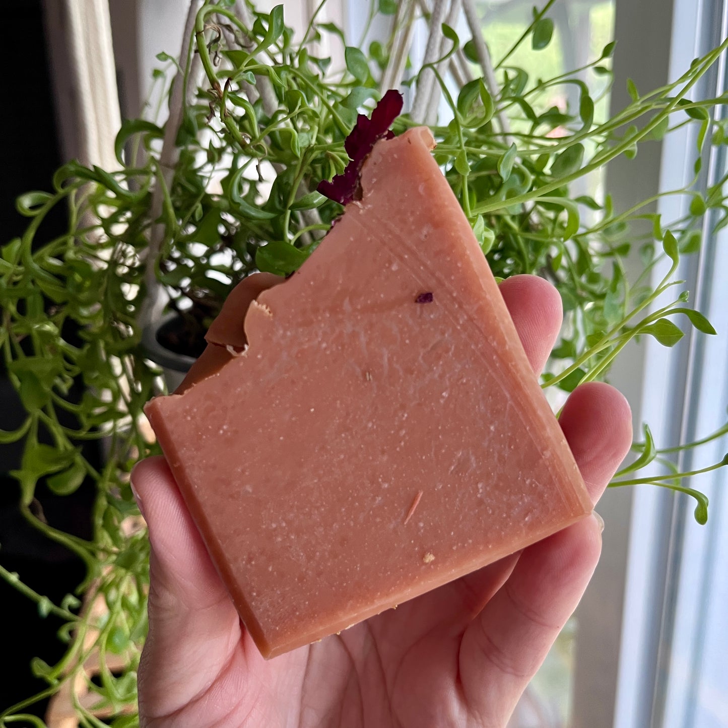 Savon au lait de chèvre  rose vanillée imparfait