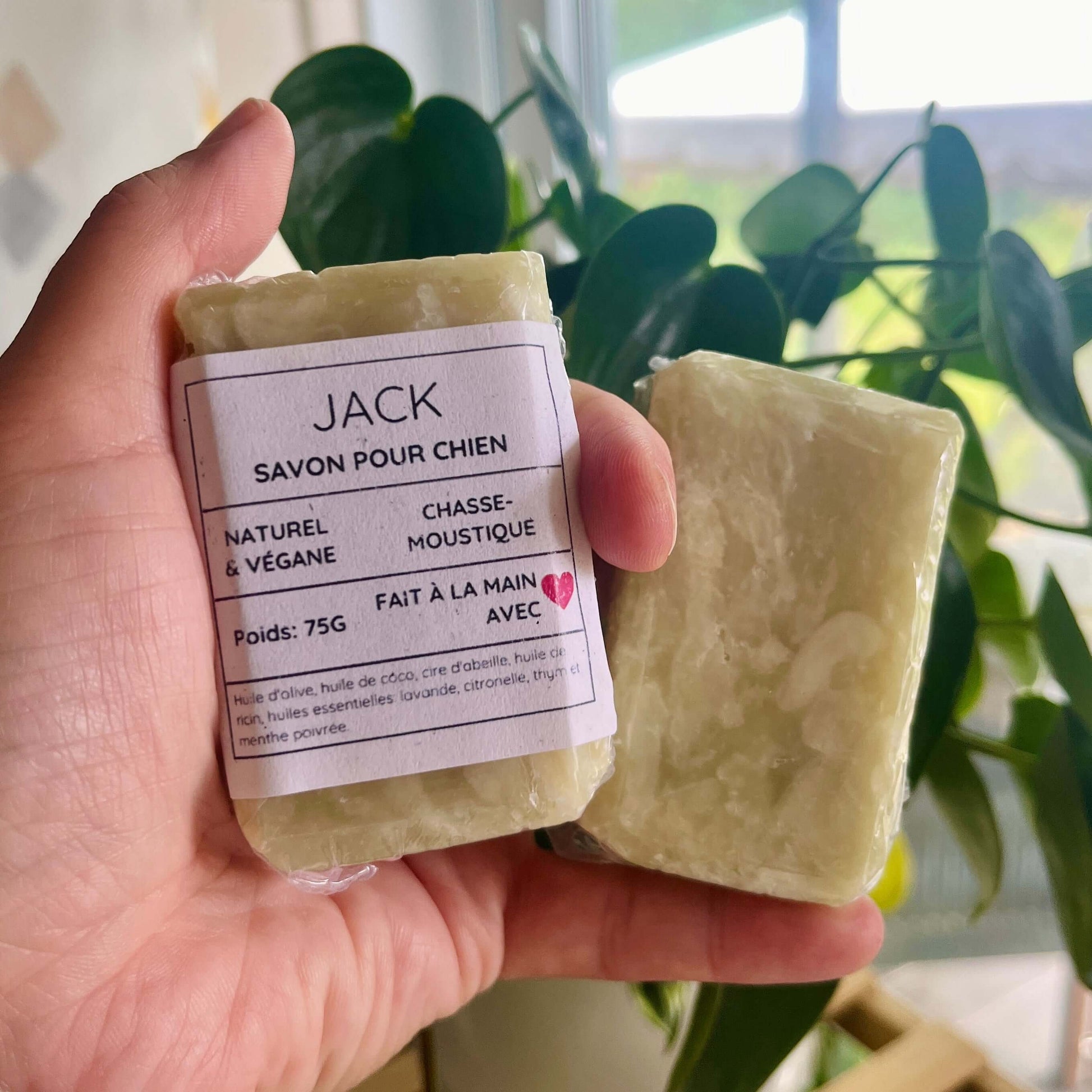 Une main tient deux barres de savon étiquetées « JACK » avec les textes « Savon pour chien » et « Chasse-moustique ». L'emballage souligne que ce savon artisanal naturel, végétalien et fait à la main pèse 75 g. Dans l'arrière-plan flou, une plante verte est visible. Parfait pour votre animal de compagnie. Présentation du Savon chasse-moustique JACK pour chien de La Sultana Savonnerie | Savons et soins naturels faits main | Québec.
