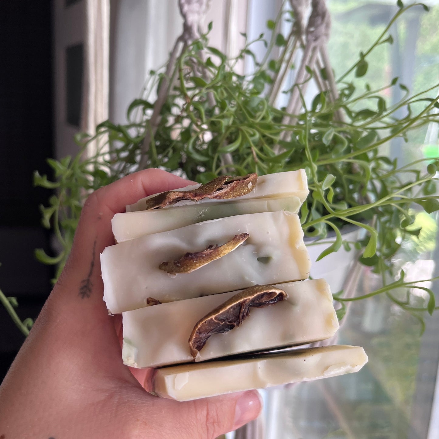 Lot de savons de coco lime et eucalyptus